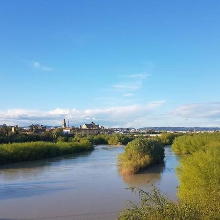 Apartamento San Pedro-Corredera Cordoba Dış mekan fotoğraf