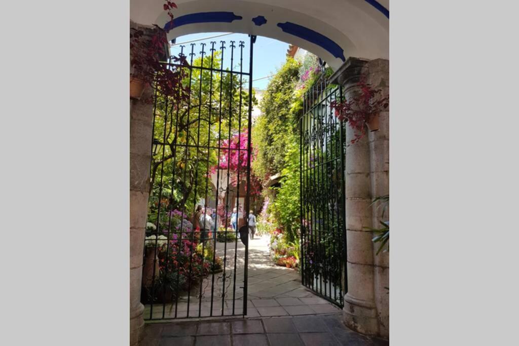 Apartamento San Pedro-Corredera Cordoba Dış mekan fotoğraf