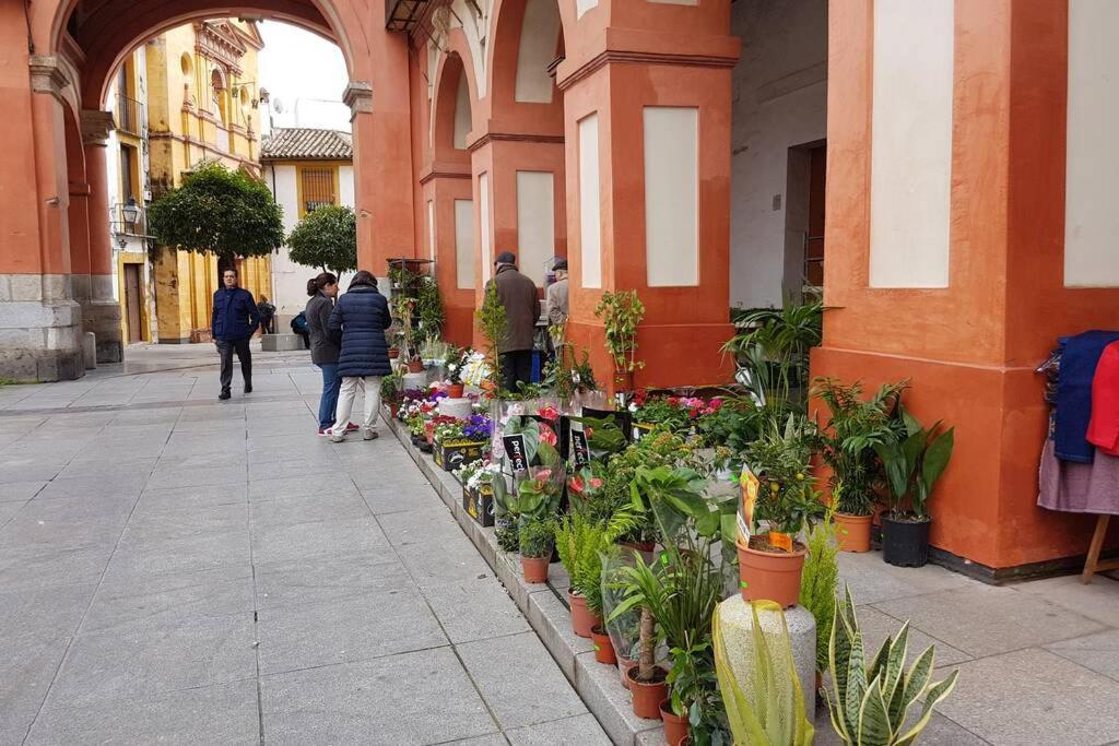 Apartamento San Pedro-Corredera Cordoba Dış mekan fotoğraf