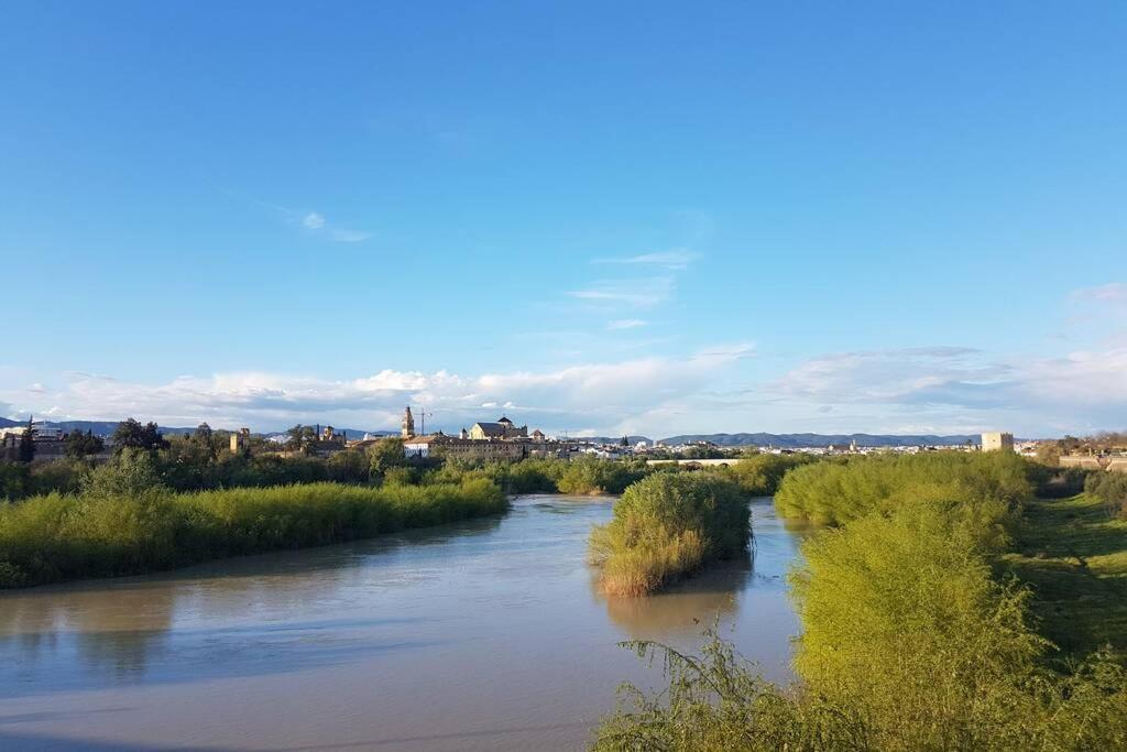 Apartamento San Pedro-Corredera Cordoba Dış mekan fotoğraf